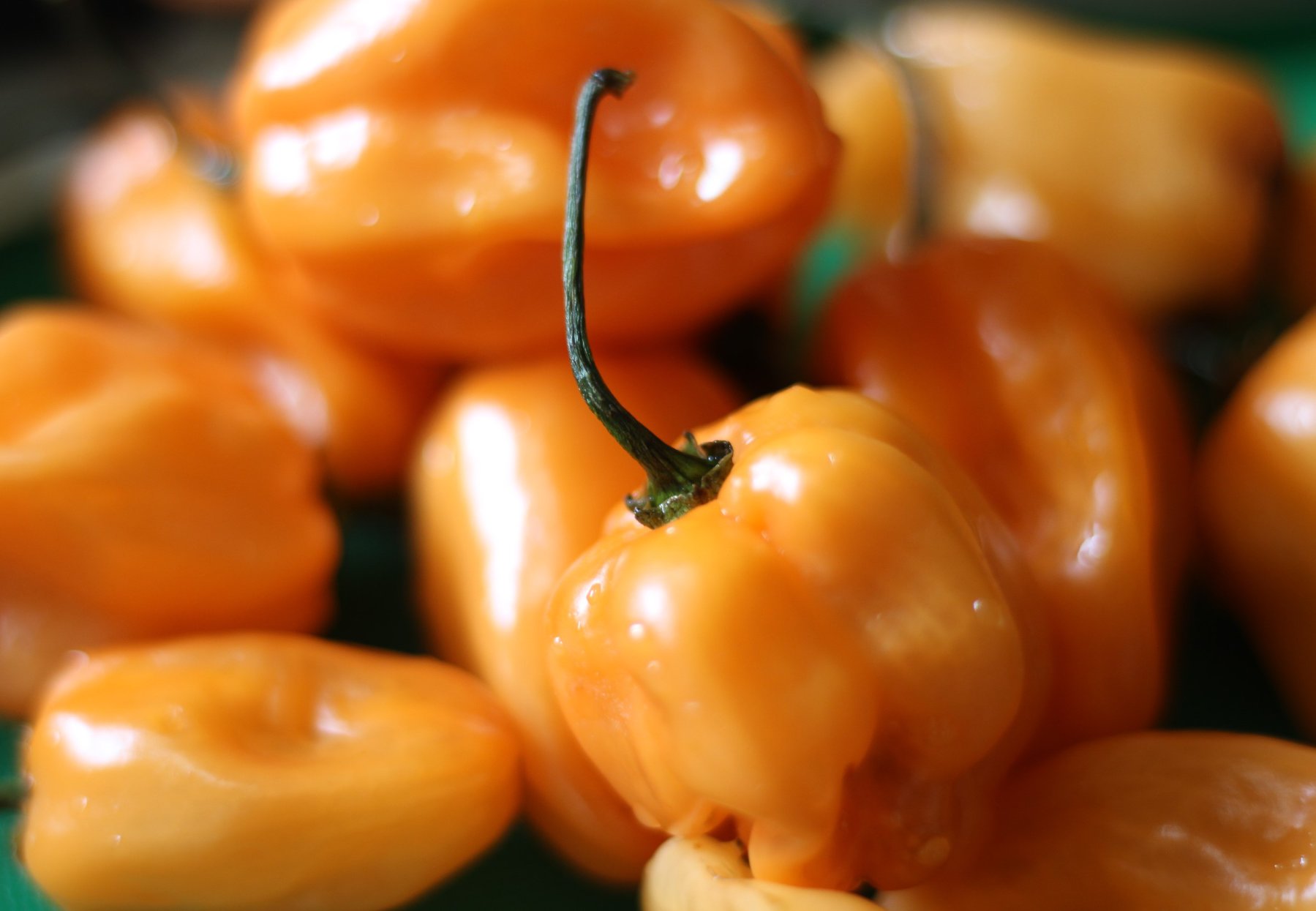 Cherry Bomb - Cherry Habanero